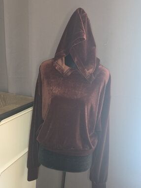 Express Velvet Hooded Sweatshirt in Brown
